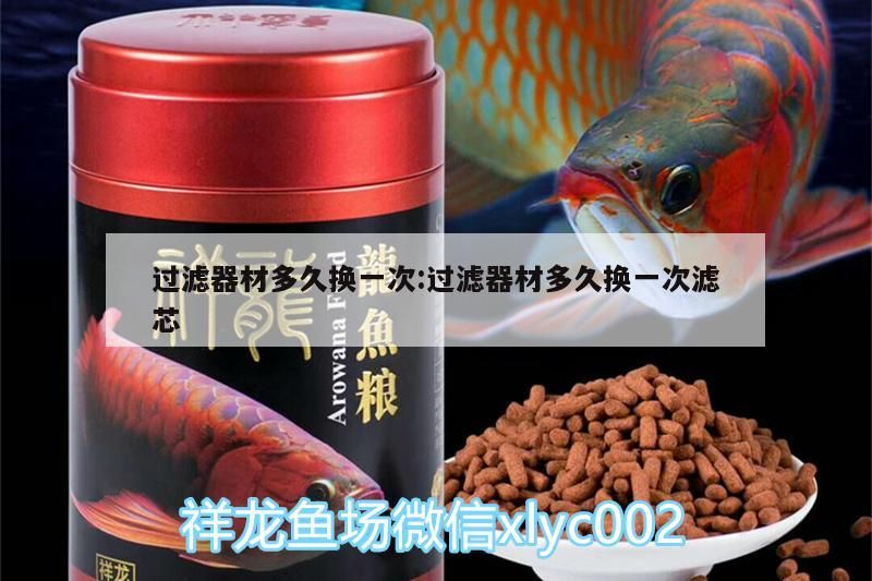 過濾器材多久換一次:過濾器材多久換一次濾芯（魚缸濾材多久換一次）