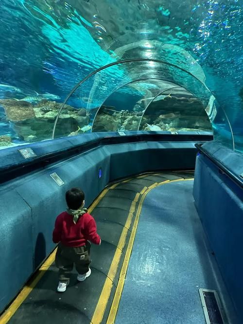 CC水族館的開放時間是？（北京水族館開放時間是每天10點至下午10點至下午6點）