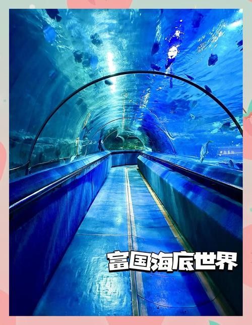 CC水族館的開放時間是？（北京水族館開放時間是每天10點至下午10點至下午6點）