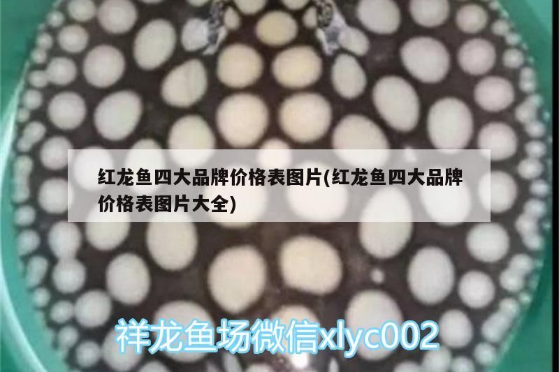 紅龍魚四大品牌價格表圖片(紅龍魚四大品牌價格表圖片大全)（紅龍魚四大品牌價格表圖片）