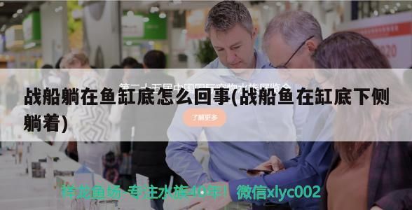戰(zhàn)船躺在魚缸底怎么回事(戰(zhàn)船魚在缸底下側(cè)躺著)