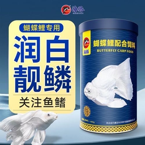 龍魚和蝴蝶錦鯉混養(yǎng)需要哪些設(shè)備？