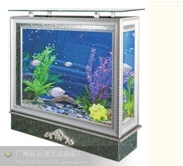 廣州魚(yú)缸哪里買(mǎi)最便宜的好點(diǎn)：廣州花鳥(niǎo)魚(yú)蟲(chóng)市場(chǎng)的歷史