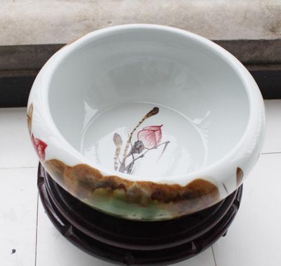 龍魚老三樣需要持續多久（龍魚老三樣需要持續多久才能吃）（龍魚老三樣需要持續多久）