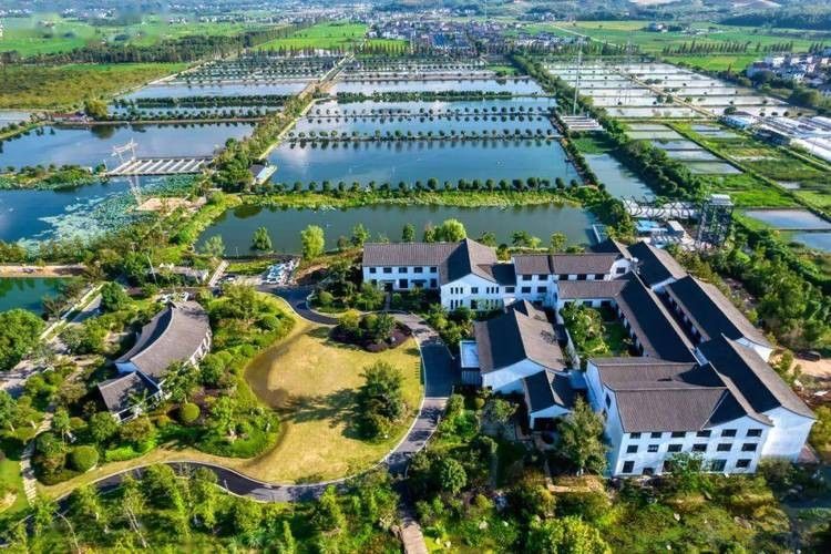 龍魚垂釣園是否有電話
