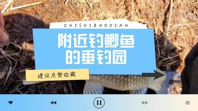 龍魚垂釣園是否有電話