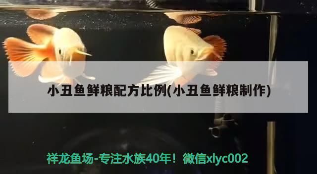 小丑魚鮮糧配方比例(小丑魚鮮糧制作)（小丑魚鮮糧配方）