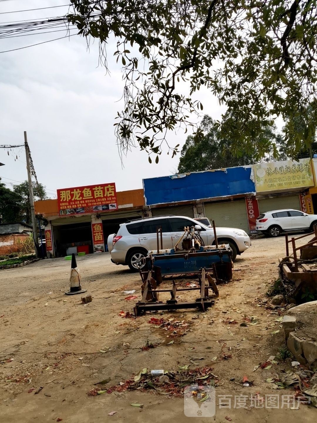 南寧有哪些知名的龍魚回收商家（南寧觀賞魚回收商家及信譽良好的龍魚回收商家及相關信息）