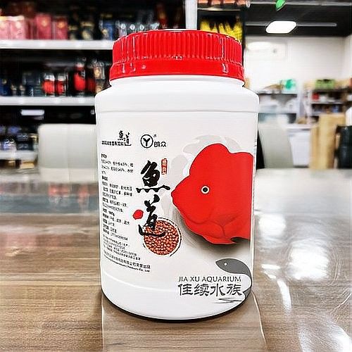 哪種恐龍魚適合吃面包蟲