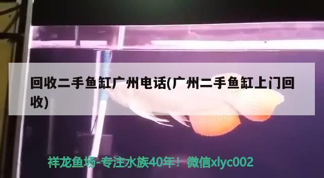 回收二手魚缸廣州電話(廣州二手魚缸上門回收)