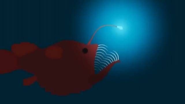 還有哪些深海魚類的發光器官（深海魚類的發光器官）