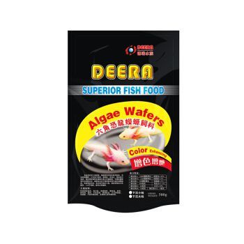 六角恐龍魚喂多少飼料合適：六角恐龍魚喂食頻率和數量應根據其生長階段調整喂養頻率與方法