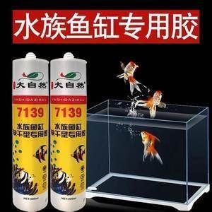 龍魚頑固水霉怎么辦（龍魚頑固水霉怎么辦呢）