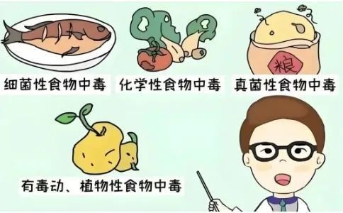 隔離期間如何確保食物安全