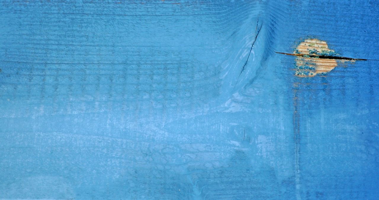 藍背景魚缸適合養什么魚圖片大全(藍背景魚缸適合養什么魚圖片大全圖解)