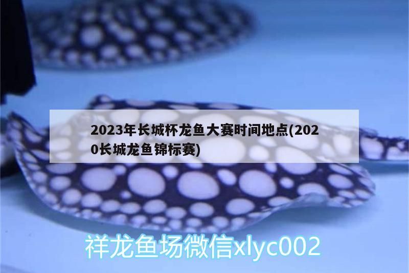 2023年長城杯龍魚大賽時間地點(2020長城龍魚錦標賽)（2023年長城杯龍魚大賽時間地點）