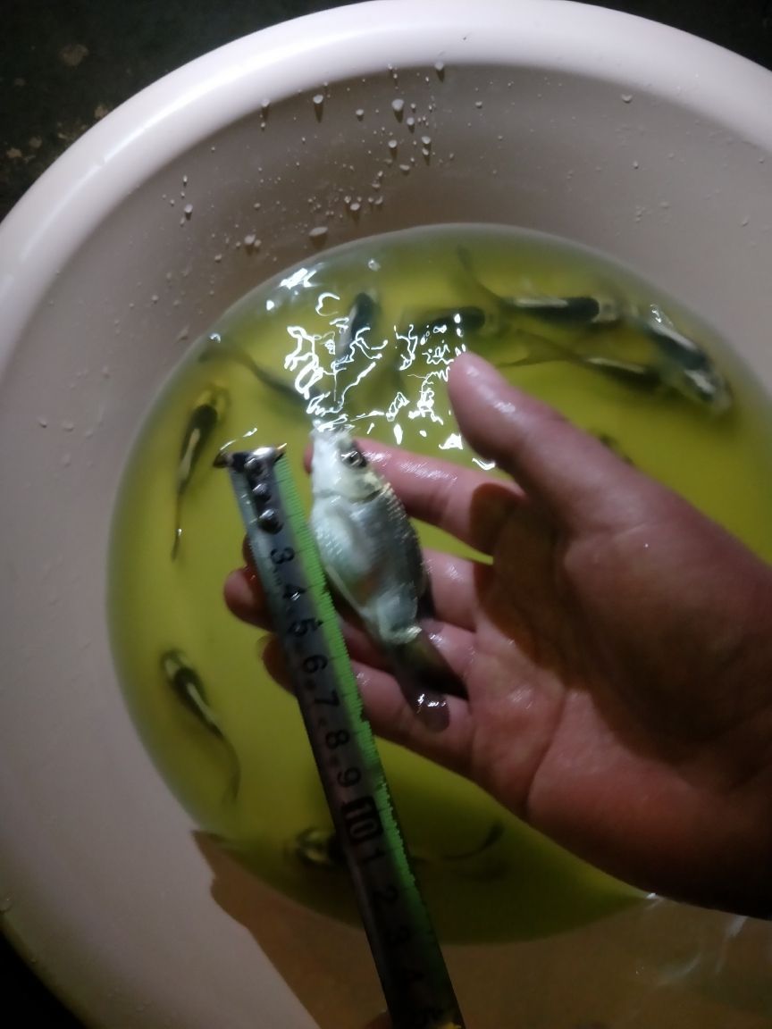 西安魚缸清洗服務中心地址查詢（西安魚缸批發廠家直銷）