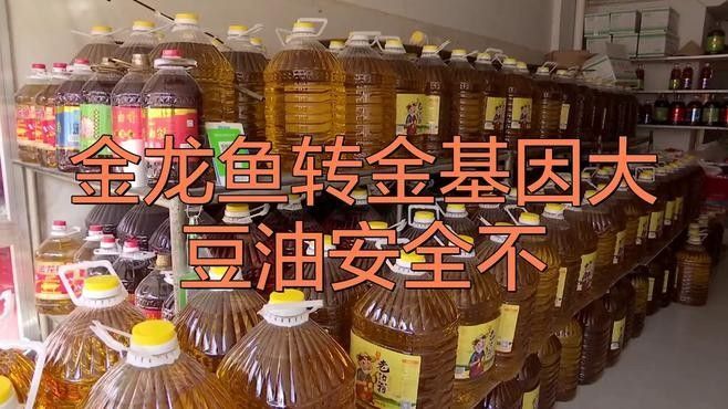 金龍魚轉基因油是否安全