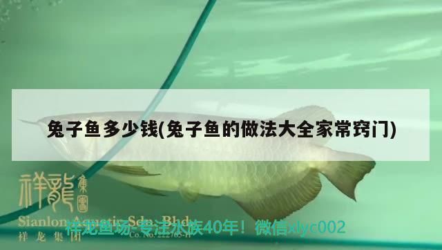 兔子魚多少錢(兔子魚的做法大全家常竅門) 兔子魚多少錢(兔子魚的做法大全家常竅門) 觀賞魚百科