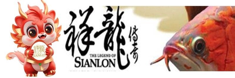 崆峒哪個水族館龍魚好？祥龍魚場龍魚