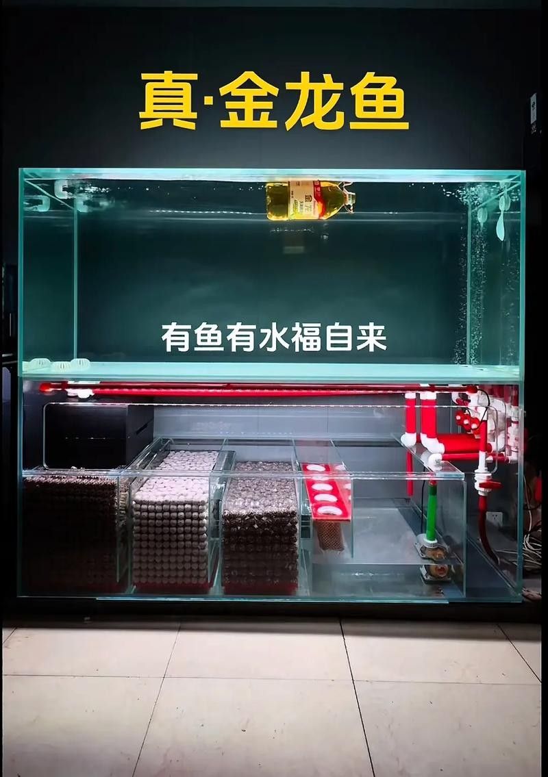 如何判斷濾材是否適合金龍魚(yú)