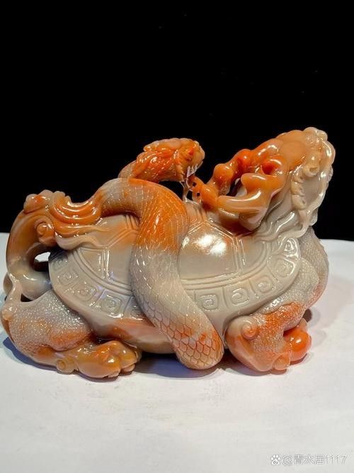 有沒有更多龍龜壁紙推薦？（探索龍龜壁紙的海洋中，我們發現了一片璀璨的星辰）