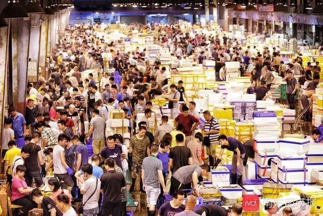 如何前往花地灣祥龍魚場