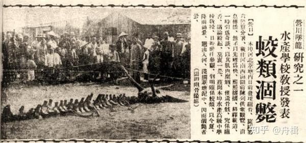 目擊者任殿元后來有何說法？（盛京時報：目擊者任殿元后來有何說法）