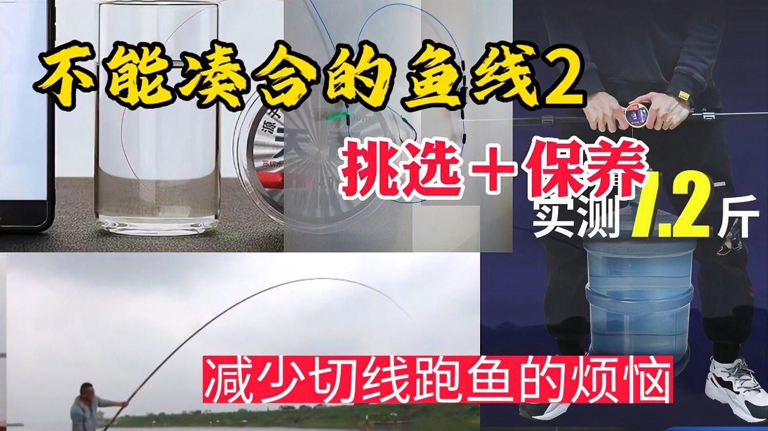龍魚缸最低尺寸是多少？，龍魚缸尺寸對照表