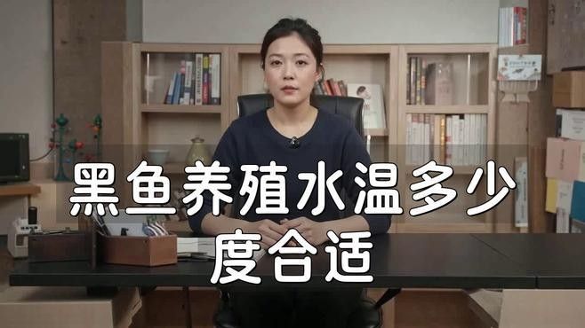 黑帶龍魚繁殖時需要注意什么（關于黑帶龍魚繁殖時需要注意的要點）