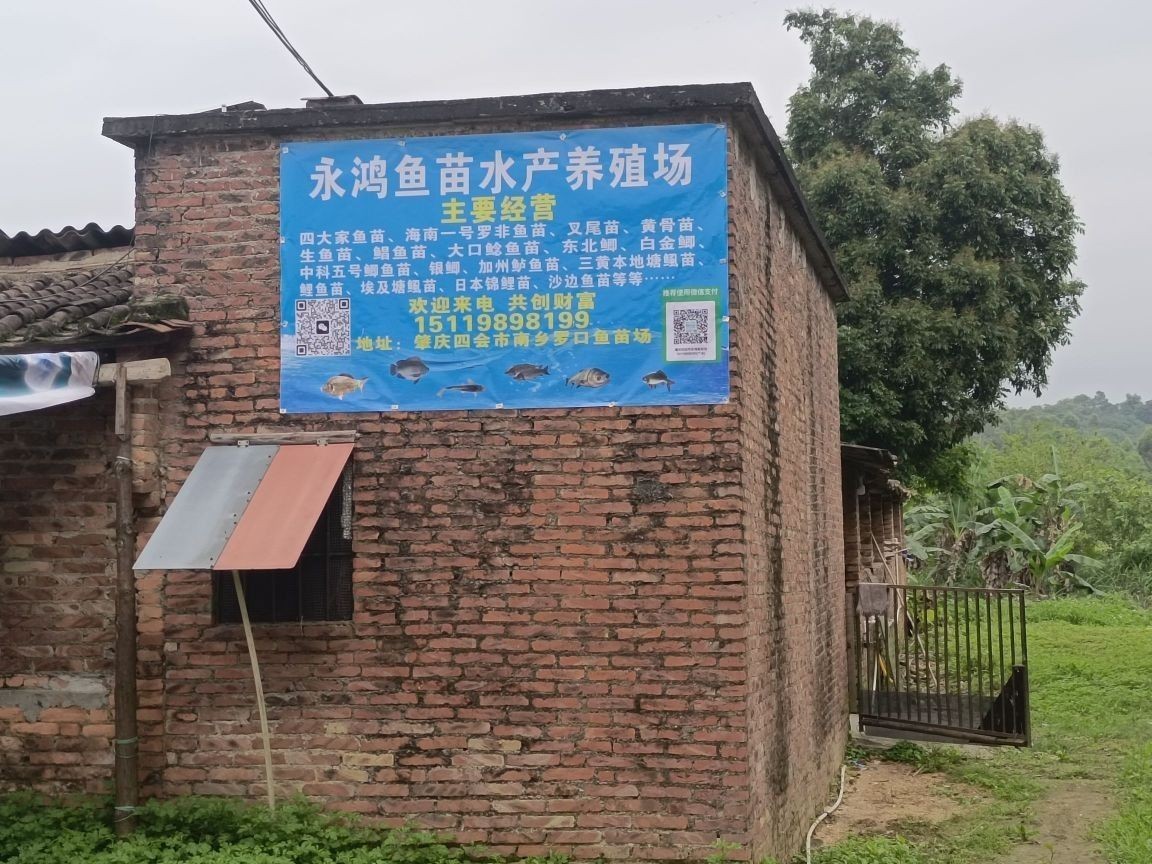 肇慶哪個(gè)水族館龍魚好？祥龍魚場(chǎng)龍魚（廣東省肇慶市祥龍水族館）