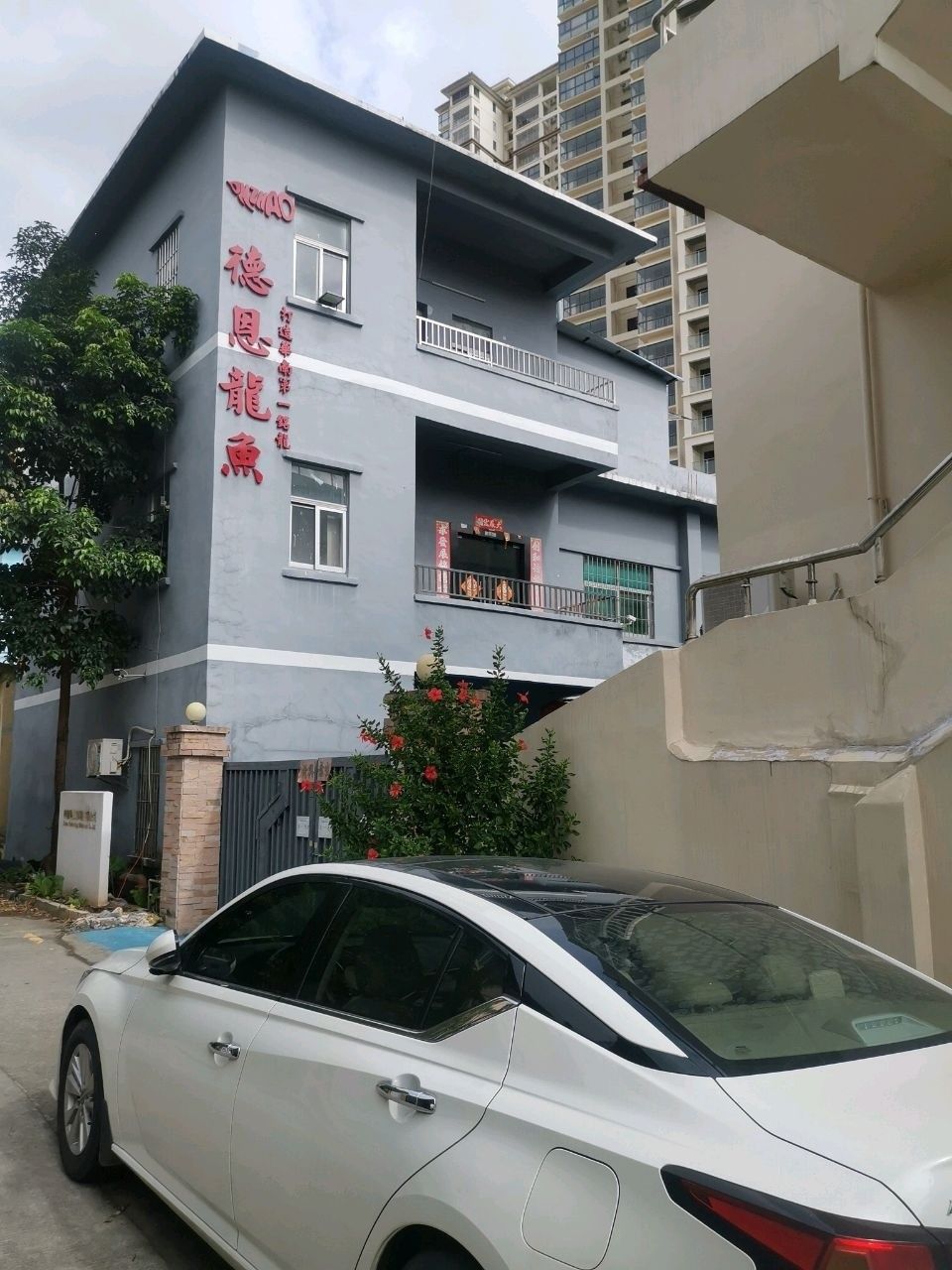 深圳龍魚市場的地址（深圳龍魚市場及店鋪地址信息：深圳龍魚市場及店鋪地址）
