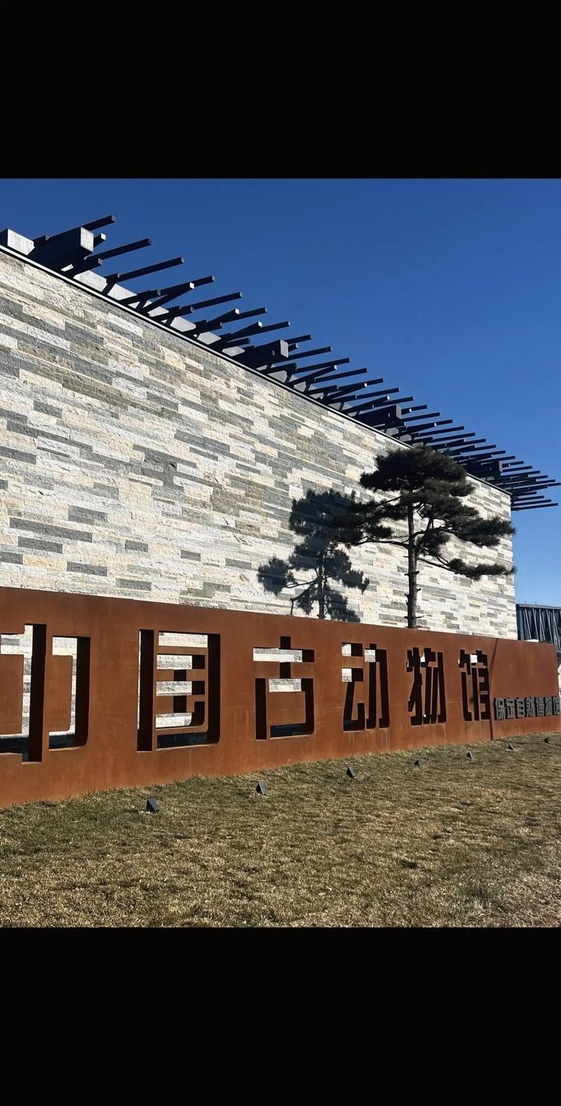 如何前往保定龍魚市場（從北京到保定龍魚市場的詳細指南）