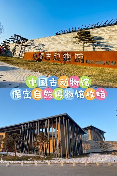 如何前往保定龍魚市場（從北京到保定龍魚市場的詳細指南）