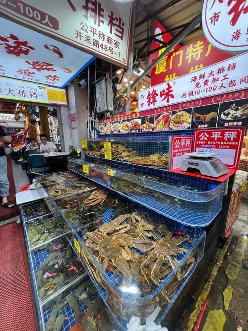 如何聯(lián)系祥龍魚場參展人員（廣州龍魚場|聊城龍魚場參展人員-祥龍魚場獲取方法）