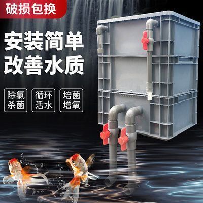 廣州的觀賞魚市場（廣州觀賞魚市場新址）（北京哪里有魚市）