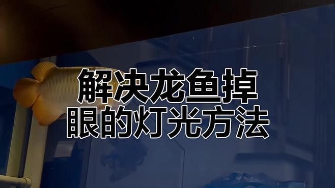 龍魚燈光如何設(shè)置最佳效果（龍缸燈光擺放技巧）