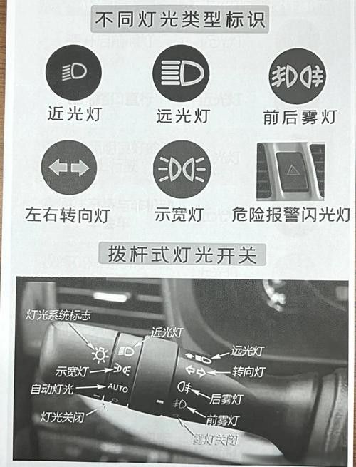 龍魚燈光如何設(shè)置最佳效果（龍缸燈光擺放技巧）
