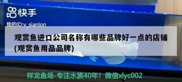 觀賞魚進口公司名稱有哪些品牌好一點的店鋪(觀賞魚用品品牌)（觀賞魚進口公司名稱有哪些品牌好一點的店鋪）