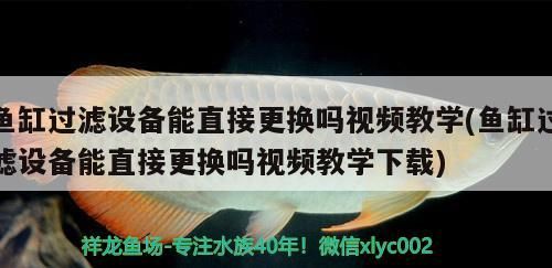 魚缸過濾設(shè)備能直接更換嗎視頻教學(xué)(魚缸過濾設(shè)備能直接更換嗎視頻教學(xué)下載)（祥龍魚場(魚缸過濾設(shè)備直接更換嗎）
