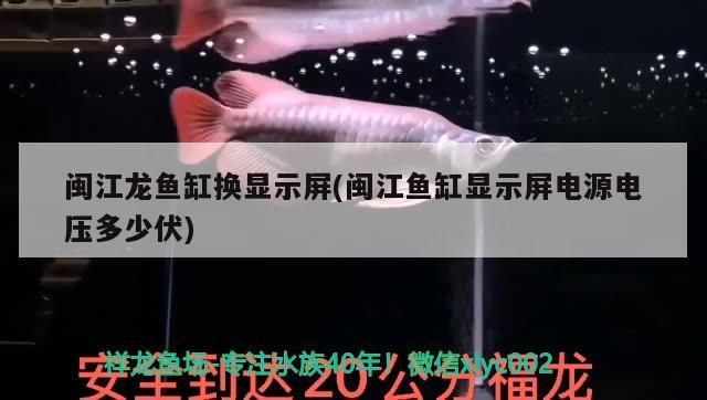 閩江龍魚缸換顯示屏(閩江魚缸顯示屏電源電壓多少伏)（閩江魚缸顯示屏電源電壓多少伏）