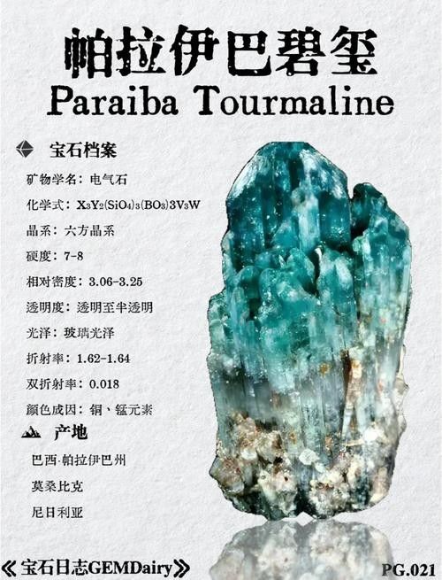 這些稀有品種的價格是多少？（天價珍稀動物大盤點：8種“土豪專屬”珍稀龜種龜種）