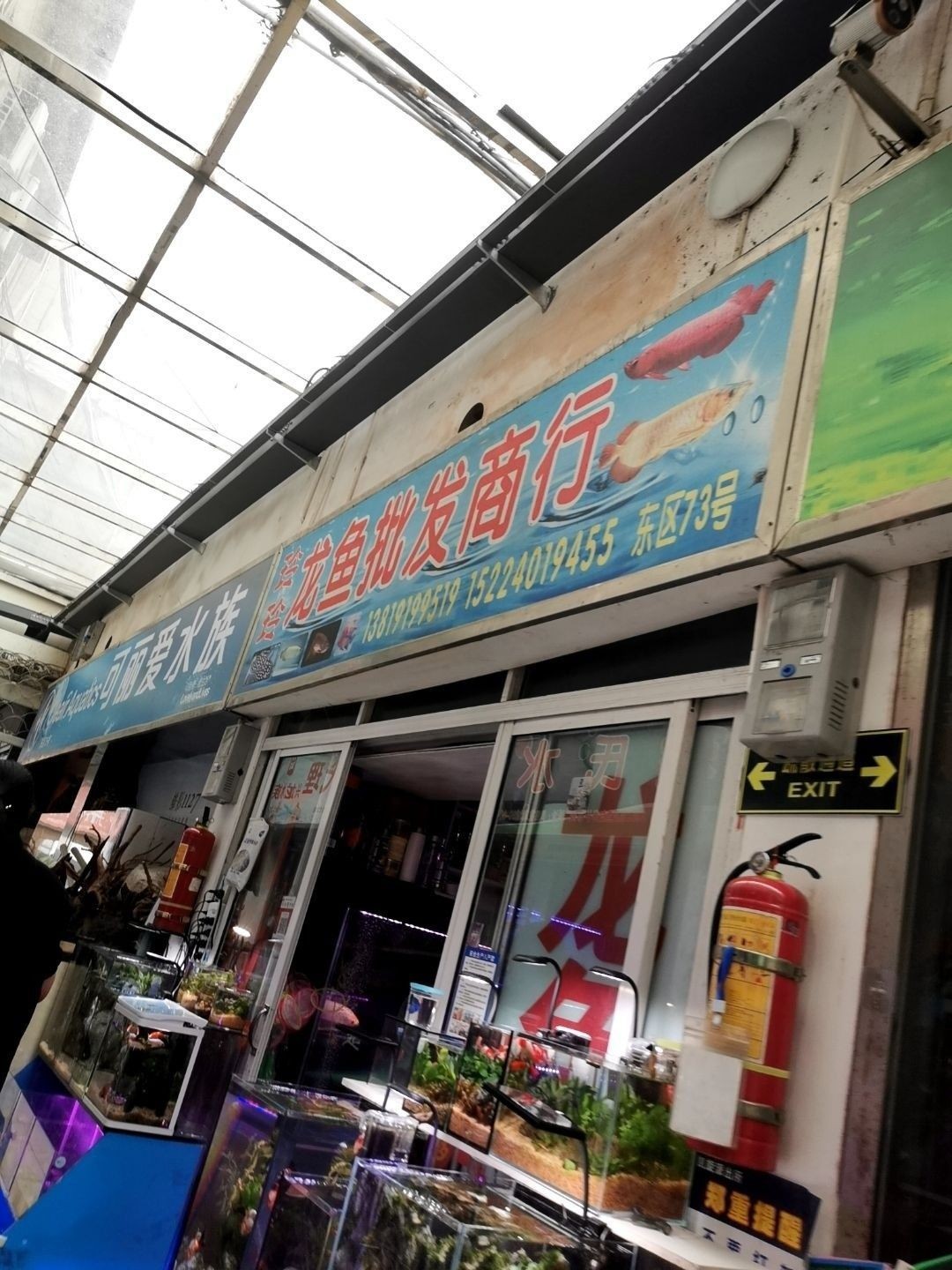 嘉興龍魚批發(fā)市場在哪里（嘉興龍魚批發(fā)市場）
