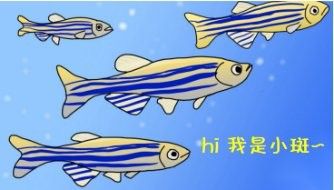 虎斑恐龍魚繁殖成功率有多高（如何提高虎斑恐龍魚的繁殖成功率？）