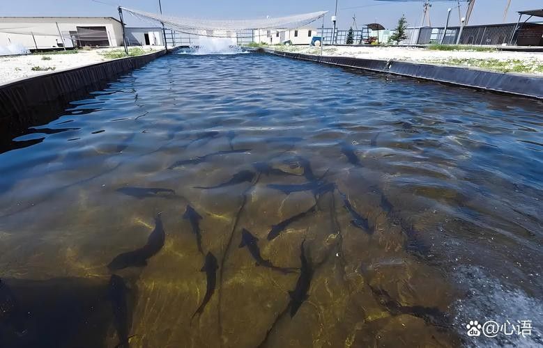 如何前往濟(jì)寧龍魚魚場（從北京到濟(jì)寧龍魚魚場的高鐵時刻表）