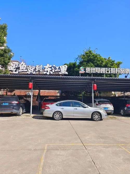貴州鱘魚的市場(chǎng)價(jià)格是多少？（貴州鱘魚市場(chǎng)價(jià)格及其影響因素探討貴州鱘魚市場(chǎng)價(jià)格）