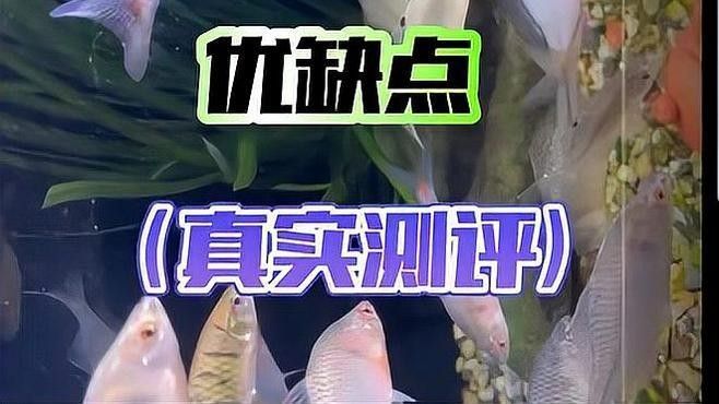 boxtech和吉印哪個(gè)更耐用？（boxtech和吉印兩個(gè)品牌的產(chǎn)品耐用性差異）