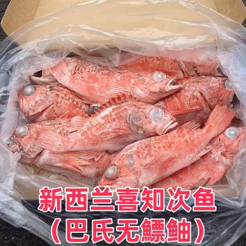 深海紅龍魚的價(jià)格是多少？（如何挑選優(yōu)質(zhì)的紅龍魚）