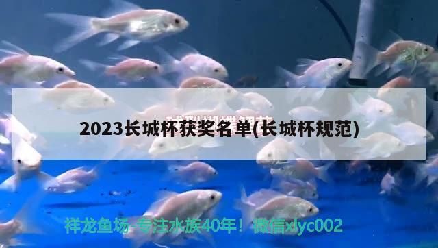 2023長城杯獲獎名單(長城杯規范)（2023長城杯獲獎名單）