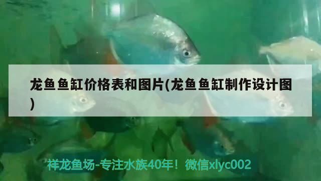 龍魚魚缸價格表和圖片(龍魚魚缸制作設計圖)（龍魚魚缸價格表和圖片）